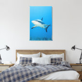 Toile Requin des Caraïbes (Carcharhinus perezi) (Insitu(Chambre))