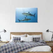 Toile Requin des récifs des Caraïbes (Insitu(Chambre))