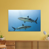 Toile Requin des récifs des Caraïbes (Insitu(Salon))