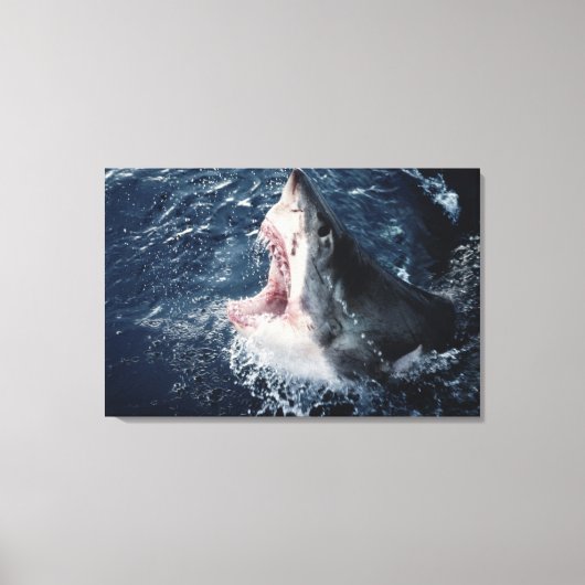 Toile Requin élevé bouche ouverte (Recto)