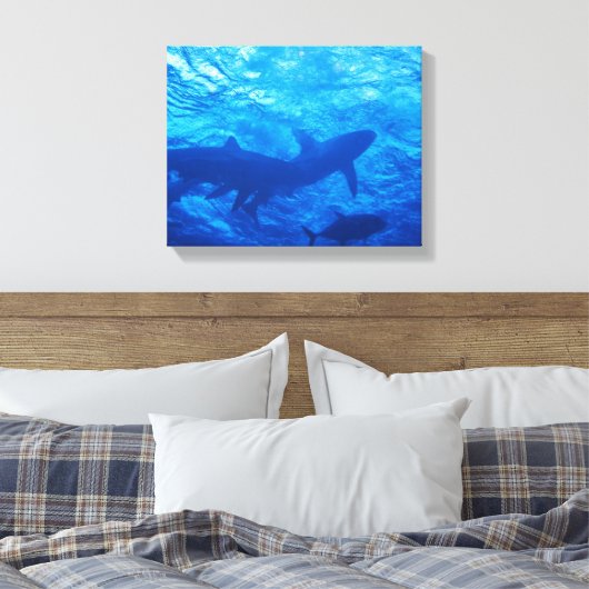 Toile Requins au trou bleu (Insitu(Chambre))