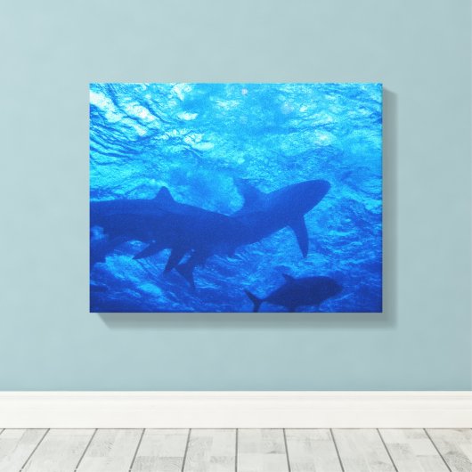 Toile Requins au trou bleu (Insitu (Plancher de Bois))