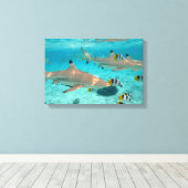 Toile Requins dans la lagune Bora Bora (Insitu (Plancher de Bois))