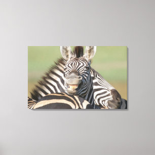 Toile Réservation privée de tala, Kwazulu Natal, sud