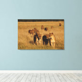 Toile Réserve faunique de Moremi, Botswana (Insitu (Plancher de Bois))