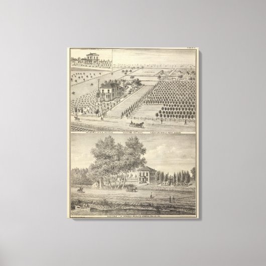 Toile Résidences Woodland, Knights Landing (Recto)