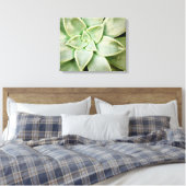 Toile Ressort Succulent (Insitu(Chambre))