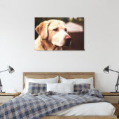 Toile Retriever du Labrador (Insitu(Chambre))