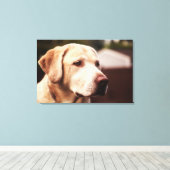 Toile Retriever du Labrador (Insitu (Plancher de Bois))