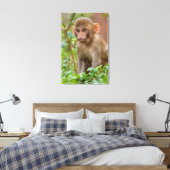 Toile Rhesus Monkey Baby, Monkey Temple, Jaipur (Insitu(Chambre))