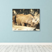 Toile Rhino couché (Insitu (Plancher de Bois))