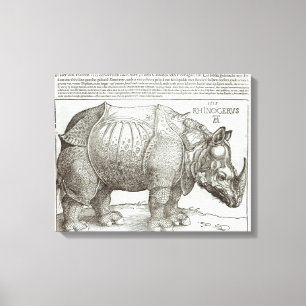 Toile Rhinocéros, copie donnée à Maximilian I (1459-1