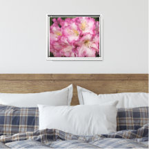 Rhododendron 10 po x 8 po