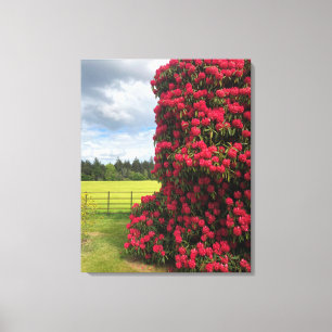 Toile Rhododendron et Pittoresque View en Ecosse