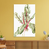 Toile Rhubarb Chard 1992 (Insitu(Salon))