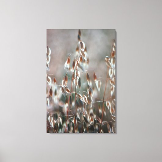 Toile Ripe Oats Ceres, Boland (Recto)