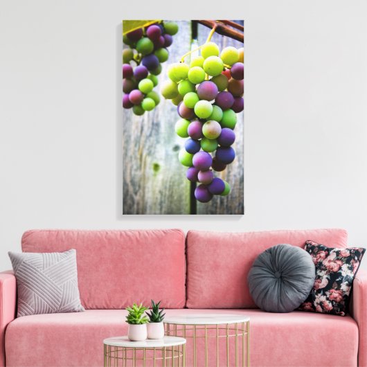 Toile Ripening Grappes (Insitu(Salon))