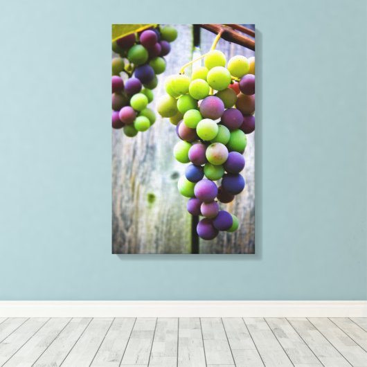 Toile Ripening Grappes (Insitu (Plancher de Bois))