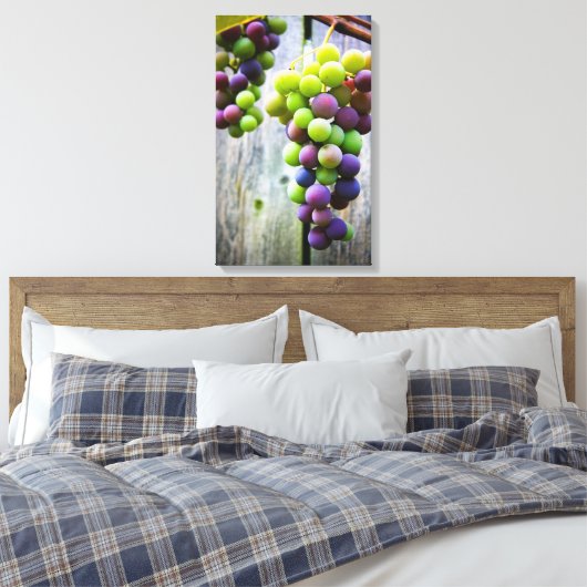 Toile Ripening Grappes (Insitu(Chambre))