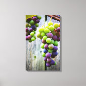 Toile Ripening Grappes (Recto)