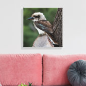 Toile Rire Kookaburra Australie Bird (Insitu(Salon))
