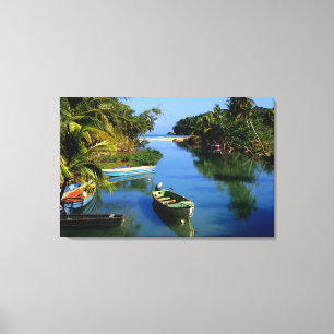 Toile Rivière panoramique près d'Ocho Rios en Jamaïque