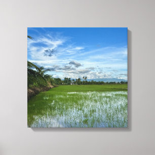 Toile Rizière sous un ciel bleu vif
