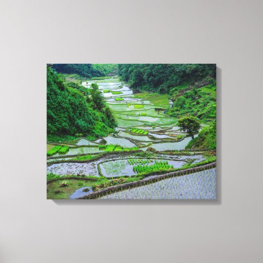 Toile Rizières de Banaue, Luzon (Recto)