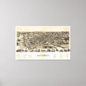 Toile Roanoke, Virginie (1891) (Recto)