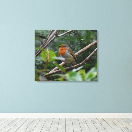 Toile Robin (Insitu (Plancher de Bois))