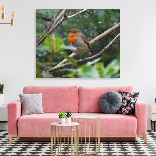 Toile Robin (Insitu(Salon))