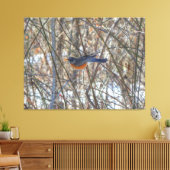 Toile Robin américain (Insitu(Salon))