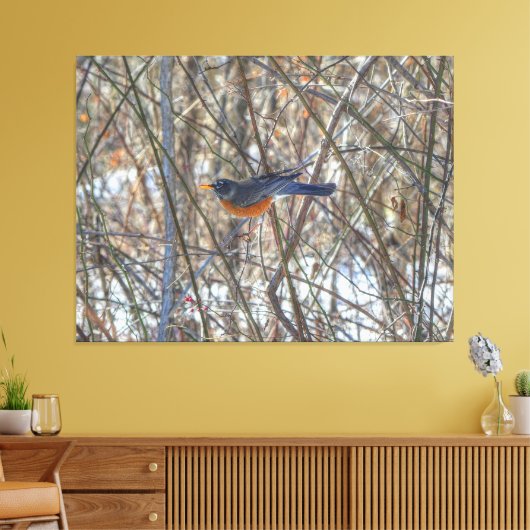 Toile Robin américain (Insitu(Salon))