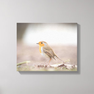 Toile Robin Bird Nature Photo