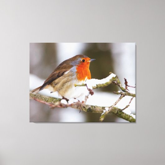 Toile robin dans la neige (Recto)