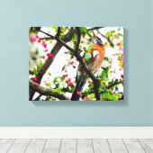 Toile Robin en floraison Crabapper Tree Imprimer Canvas (Insitu (Plancher de Bois))