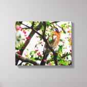 Toile Robin en floraison Crabapper Tree Imprimer Canvas (Recto)