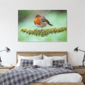 Toile Robin perché sur une branche couverte de mousse (Insitu(Chambre))