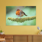 Toile Robin perché sur une branche couverte de mousse (Insitu(Salon))