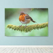 Toile Robin perché sur une branche couverte de mousse (Insitu (Plancher de Bois))