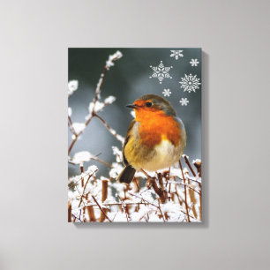 Toile Robin Songbird avec Snowflakes Canvas Imprimer