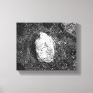 Toile Rocher noir et blanc dans le lac Eau 8x10