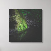 Toile Rocher vert moussu avec reflet dans l'eau (Recto)