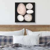 Toile Roches de granit arrondies de différentes couleurs (Insitu(Chambre))