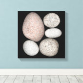 Toile Roches de granit arrondies de différentes couleurs (Insitu (Plancher de Bois))