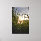 Toile Romantic Flowers – Botanical Fantasy Daisy (Recto)