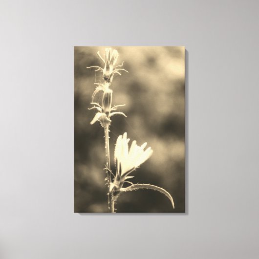 Toile Romantic Trees & Flowers – Botanical Fantasy Boho (Recto)