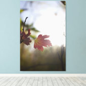 Toile Romantic Trees & Flowers – Botanical Fantasy Boho (Insitu (Plancher de Bois))