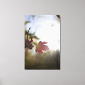 Toile Romantic Trees & Flowers – Botanical Fantasy Boho (Recto)