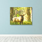 Toile Roosevelt Elk | Parc National Olympique, Washingto (Insitu (Plancher de Bois))